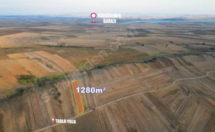 TEKİRDAĞ MALKARA KOZYÖRÜK 1.280 m² MÜSTAKİL TARLA