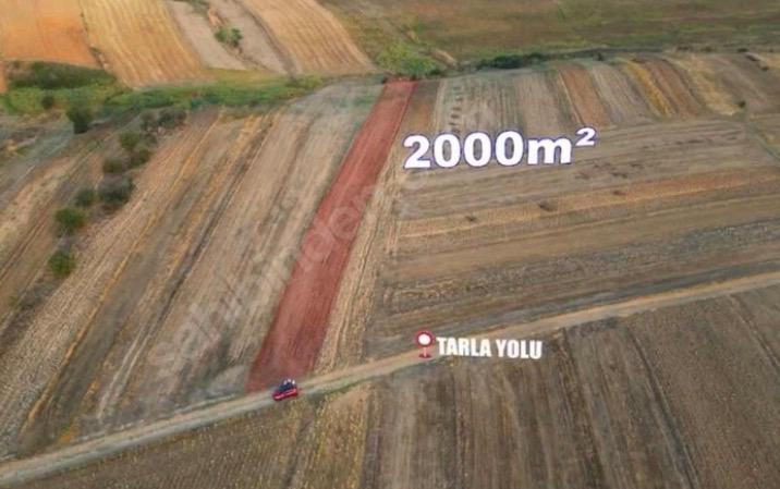 TEKİRDAĞ MALKARA KOZYÖRÜK 2.000 m² MÜSTAKİL TARLA