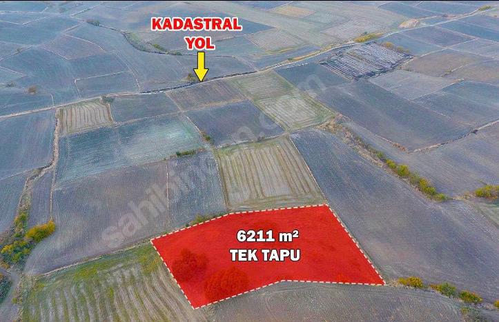 TEKİRDAĞ HAYRABOLU SALGAMLI 6.211 m²